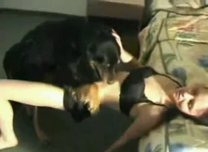 Video :Teen animal sex with dog on her bed